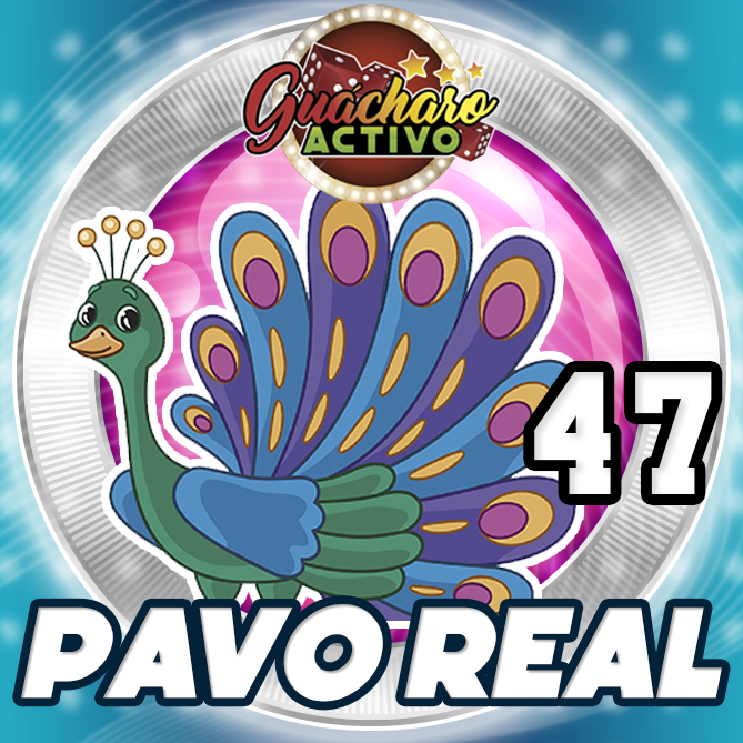47 - Pavo real